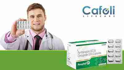 Panpital CT Capsule at the best price in the Gastrointestinal Care Franchise for Gastroesophageal Reflux Disease.